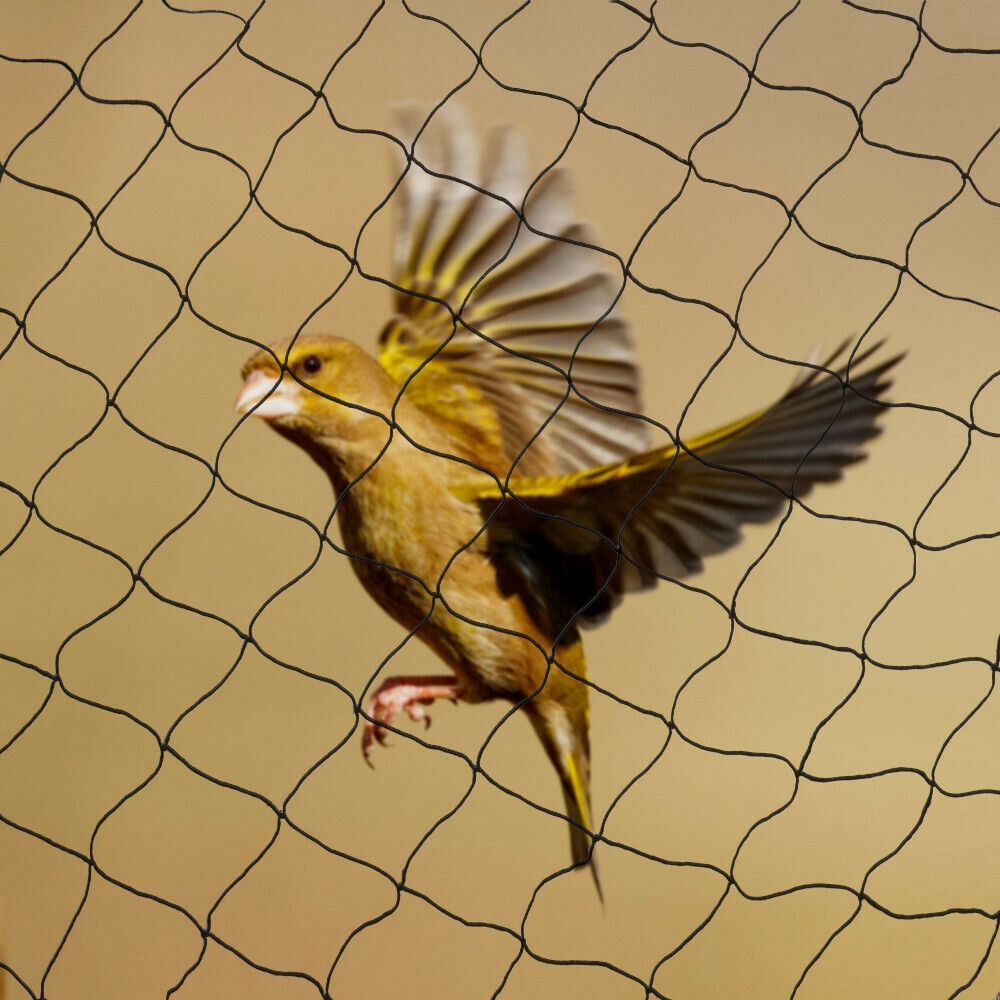 Fishing Equipment Net - 30*15M Bird Netting Agricultural Anti Bird